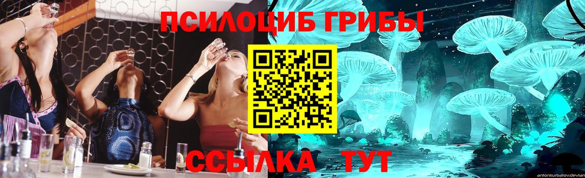 Топки  Галлюциногенные грибы Psilocybine cubensis  цены наркотик  Псилоцибиновые грибы Magic Shrooms  Вход с VPN 
